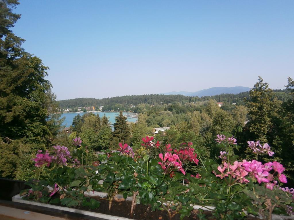 Ferienpension Garni Hubert Rigelnik Sankt Kanzian am Klopeiner See Rum bild