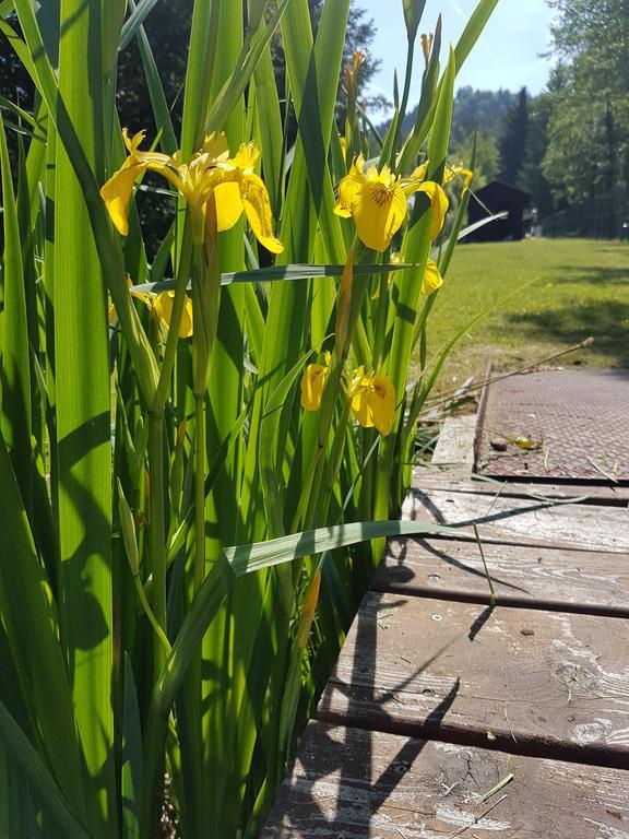 Ferienpension Garni Hubert Rigelnik Sankt Kanzian am Klopeiner See Exteriör bild